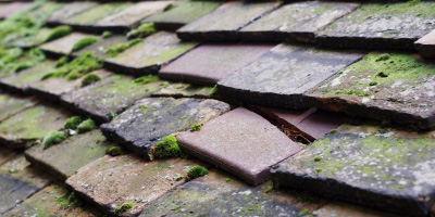 Shabbington roof repair costs